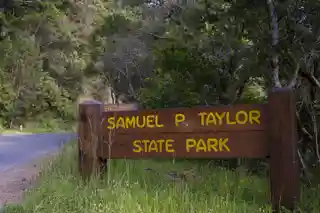 Pioneer Paper Mill site