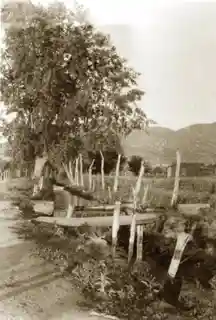 Acequia Madre