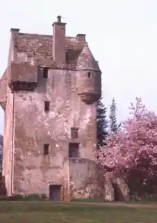 Coxton Tower