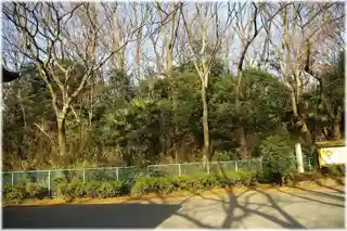 Kamenokoyama Kofun