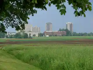 Central Experimental Farm