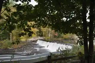 Wiswall Falls Mills Site