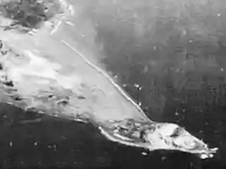 South Field (Iwo Jima)