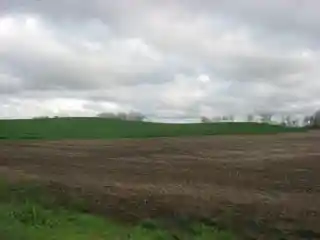 Ware Mounds and Village Site(11 U 31)