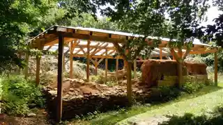 Dacian fortress of Tilișca