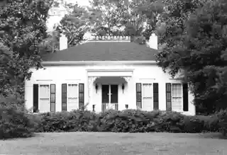 Woodlane Plantation