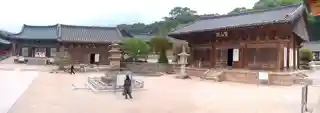 Tongdosa