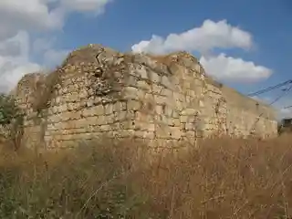 Ono