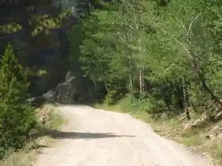 Old Fall River Road