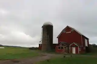 Lipe Farm