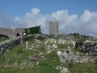 Roscam