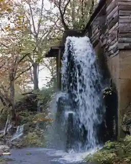 Golda's Mill