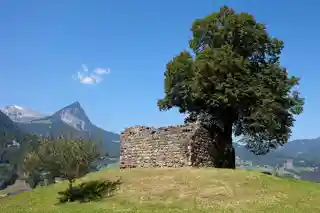 Rudenz Castle