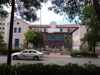 Homeopathic Institute and Hospital of San José