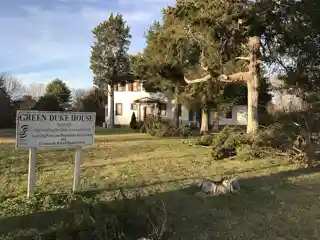 Green Duke House