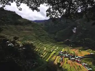 Rice Terraces of the Philippine Cordilleras