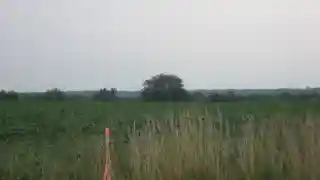 Roberts Mound