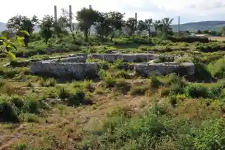 Buridava