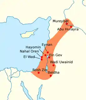 Mureybet
