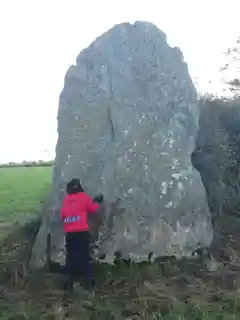 Bryn Gwyn Stones