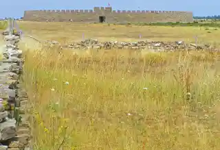 Stora Alvaret