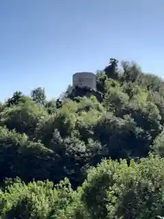 Bobovac