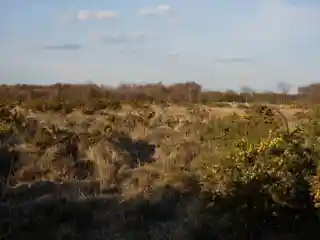 Hamble Common Camp