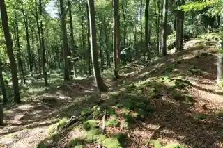 Alter Schlossberg (Ebermannstadt)