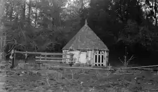 Denbigh Plantation Site