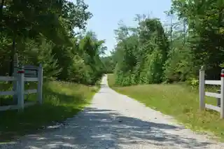 Edenetta