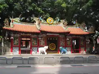 Kaiyuan Temple