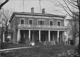 Whitethorne