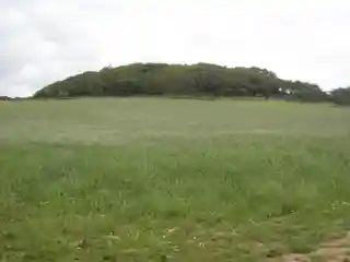 Lesingey Round