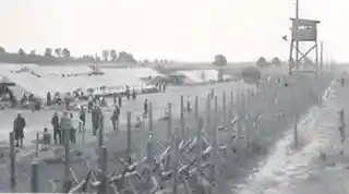 Stalag II-D