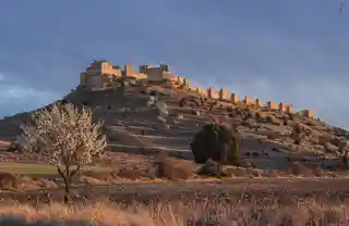 Castle of Gormaz