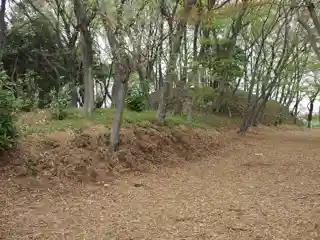 Akibayama Kofun cluster