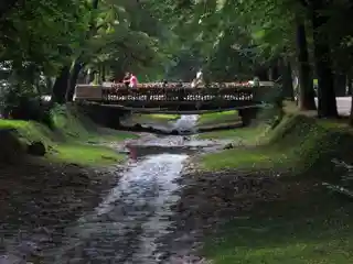 Bridge of Love