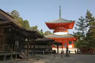 Mount Kōya
