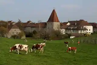 Wiedlisbach Castle