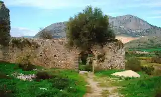 Rogoi