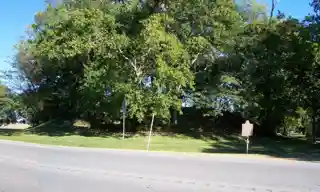 Frogmore Mound Site(16 CO 9)