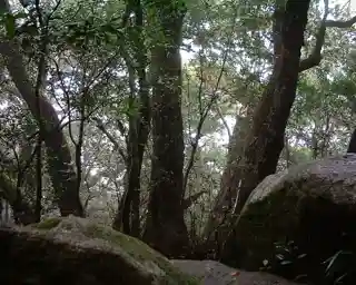Binna Burra