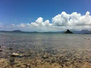 Molii Fishpond