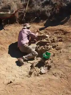 Alcoota Fossil Beds