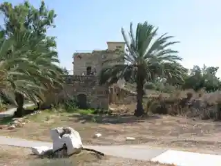 Tel Afek