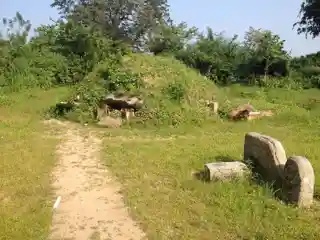 Lahugala Kiri Vehera