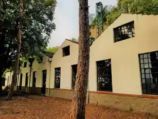 Hemp Factory of Edessa
