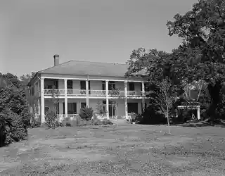 Grass Lawn
