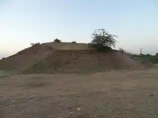 Gohilwad Timbo
