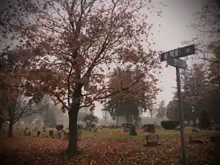 Liverpool Cemetery